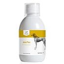 VetVital Vicano Joint Flex | 250 ml | Ergänzungsfuttermittel für Hunde | Zur Unterstützung der Beweglichkeit und des Gelenkstoffwechsels | Mit Grünlippmuschel und Teufelskralle