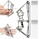 HNZMDY Small Compound Bow and Arrow Set for Adult Teens Youth for Outdoor Indoor Shooting Target Practice Small Sports Games (Type 2 (12 arrows)), 6.1''x 2.3''x 0.6''