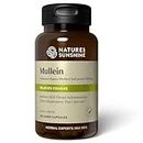 Nature's Sunshine 300mg Mullein 100 Capsules, 100 count