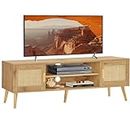 Iwell Rattan TV Stand for 55 Inch TV, TV Bench, Entertainment Center TV Console with 2 Cabinets & Shelf, Media Console, Rattan Cabinet for Living Room, Natural