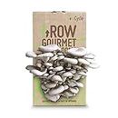 GroCycle Oyster Mushroom Growing Kit | Mushroom Grow Kit | Gardening Gifts for Women, Men & Kids | Grow Your Own Kits | Fun to Grow & Delicious to Eat | Oyster Mushroom Grow Kit | Mushroom Gifts