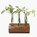 Lazy Gardener Plant Propagation Station | Test Tube Planter with Wooden Stand | Plant Gifts for Plant Lovers, for Hydroponics Home Garden Office Decoration (Sheesham Wood) Set of 1