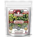 Sansar Green ® Creeper Magic Mixture, Essential Super Powerful Organic Fertilizer for Creeper Plants with ++ Growth Booster and Active Micro Organism (400 gm)