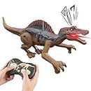 Robot Dinosaur,Remote Control Dinosaur Rechargeable - Remote Control Dinosaur Toy with Lights & Sounds and Rechargeable Battery for Kids 3-12 Years Hmltd