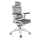 sjdoPulse Office Chair - Ergonomic Breathable Mesh Study Desk Chair with Lift Armrest and Headrest, Adjustable Height Tilt Swivel Computer Gaming Chairs For Home Office Lofty Ambition