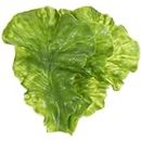 Garneck 3pcs Artificial Lettuce Leaves Green Decor Kitchen Food Playset Simulated Vegetable Flower Garland Decorations Fruit Artificial Veggies Faux Vegetable Chinese Cabbage PVC Ornaments