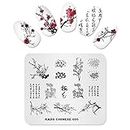 KADS Nail Stamping Plate Stampante per unghie in stile cinese Stamp Template Template DIY Template Manicure Stamping Plate Stencil Tools (CN005)