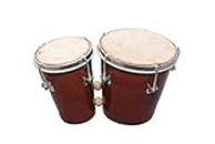 JAPS BIZ® Two Piece Wooden Hand Bongo Drum Set for Adult Kids Beginners Professionals with Tuning Wrench (Brown)