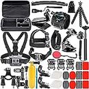 Neewer 50-In-1 Action Camera Accessory Kit, Compatible with GoPro Hero10/Hero9/Hero8/Hero7, GoPro Max, GoPro Fusion, Insta360, DJI Osmo Action/Action 2, AKASO, APEMAN, Campark, SJCAM