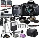 Canon EOS 2000D (Rebel T7) DSLR Camera wCanon EF-S 18-55mm F3.5-5.6 III Lens and Sunshine Photo Professional Accessories Bundle (Renewed)