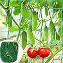 WNE Jaliwale Creeper Net & Plant Support Trellis Netting Plant Climbing Net for Flower Fruits Vegetables Tomato Plants Green Colour 5ft x15ft