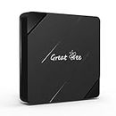 Greatbee Arabic TV Box for IPTV, Free for Life Set-top Box TV Box for IPTV, Android 10 2G 16G Wireless High Definition Free Smart Box