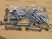 Rotary (Ship from USA) 8628 (LOT of 20) MTD Snow Blower 710-0891,910-0891,712-0158 Shear Pin & Bolt/Item NO#8Y-IFW81854209492