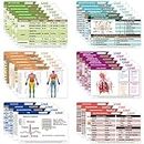 Nursing Badge Reference Cards for Vitals, EKG, Lab Values - RN Student Essentials and Gifts for Nurses