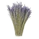 MIHUAGE Dried Lavender Flowers Bundles 100% Natural Real Dry Flower for Home Decorations,Home Fragrance 380-400 Stems