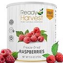 Ready Harvest Freeze Dried Raspberries Whole Foods for Emergency Food Storage, Camping Supplies, and Survival Kits | Sealed Fresh in #10 Can | 30 Year Shelf Life | 1 Can
