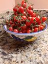 30+ Florida Everglades Tomato Seeds Organic - Fresh seeds for planting in 2024