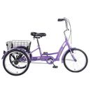 European Adult Tricycles - 26" 3-Wheel with Low Step-Through, Large Basket, Installation Tools Included, for Adults