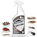 Effective Insect Killer Spray 1L for All Life Stages - Indoor & Outdoor Use, HSE Approved, Targets Ants, Fleas, Flies & More, Provides 3-Month Protection