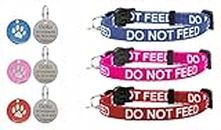 Do Not Feed Cat/Kitten Pet Collar with Safety Buckle, Bell & Personalised Engraved Paw Print Tag (Red)