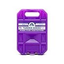ARCTIC ICE Tundra Series Reusable Cooler Pack, Ice Pack, 1201, Purple, Small