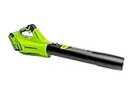 Greenworks 40V 125 Mph - 450 Cfm Cordless Axial Jet Blower, Battery and Charger Not Included 2421202HDVB