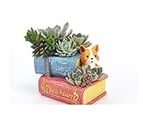 Bloom Bagicha Double Book Succulent/Pot/Planter for Garden/Home/Balcony/Figurine/Living Room/Kids Room/Outdoor Decor