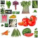 AZIZ GAZI NURSERY - Garden Seed Combo Vegetable and Fruit Seeds | Perfect for Home Gardening | Planting For Pots and Patio (Multicolor, 22 Variety 2500 + Seeds) (3)