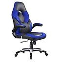 Chair Garage Multi-Functional Ergonomic Gaming Chair for Gamers with Lumbar Support|Fixed Arm Rest | Office | Work from Home | Ergonomic High Back Chair | Black & Blue | (Faux Leather)
