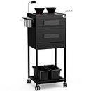 SyyBhb Metal Salon Trolley Cart for Hair Stylist, 2 Lockable Drawers, 2 Storage Baskets, 2 Magnetic Hair Color Bowls, Hairdryer & Tools & Phone Holder