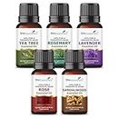 She Essentials Set of 5 Premium Essential Oils - Tea Tree, Rosemary, Lavender, Rose & Sandalwood | 100% Pure and Natural Aromatherapy Oils for Face, Skin, Hair - 5x5ml