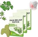 Pain Relief Patch For Knee, Relieve Knee Pain In Minutes, Wellnesstic Pain Relief Patches, Wormwood Pain Relief Patch For Knee, Back, Neck, Shoulder (30PCS)