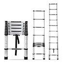 Corvids 2.9m (9.5 feet) Portable & Compact Aluminium Telescopic Ladder | 2-Year Warranty | EN131 Certified 10-Steps Foldable Multipurpose Step Ladder for Home & Outdoor use