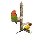 KSK 9'' Natural Wood Bird Perch Stand, Hanging Multi Branch Toys for Parrots, Parakeets Cockatiels, Conures, Love Birds, Finches