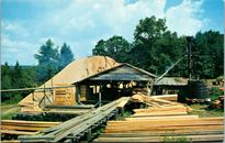 Sawmills In Big Timber Area Pennsylvania Postcard