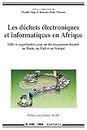 Les déchets électroniques et informatiques en Afrique (Hommes et sociétés) (French Edition)