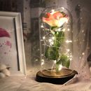 Beauty and the Beast Enchanted Rose in Glass Dome with LED Light  Party Decor JL