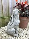 Statue en pierre de lièvre regardant le lapin | Décoration extérieure de jardin