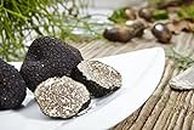 SeedsUP - 100+ Black Truffle Mushrooms Mycelium Spawn Spores - Mushroom