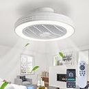 LOKUNM Ventilateurs de plafond réversibles avec lumières 48cm Smart Fan Light 6 Speeds Dimming Ceiling Lights with Fans and Remote 36W Memory Ceiling Fan Quiet Fan Light Ceiling for Bedroom