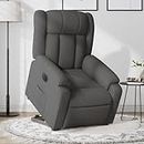 vidaXL Electric Lift Recliner Chair - Stand-Up Assist Armchair/Sofa in Dark Grey Fabric with Motorized Recline for Elderly, Living Room Comfort