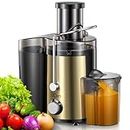 Juicer Machine, 800W Centrifugal Juicer Extractor with Wide Mouth 3” Feed Chute for Fruit Vegetable, Easy to Clean, Stainless Steel, BPA-free (Gold)
