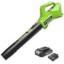 Greenworks G24ABIIK2 Cordless Axial Leaf Blower, 145km/h, 9.08m³/min 24V Battery & Charger, 3 Year Guarantee