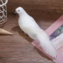 Home Furnishing Photography Props Imitation Bird Feather Bird Dove Fake Bird