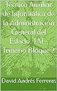 Técnico Auxiliar de Informática de la Administración General del Estado. TAI - Temario Bloque 2 (Spanish Edition)