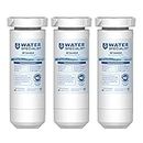 Waterspecialist XWF NSF Certified Refrigerator Water Filter, Replacement for GE XWF, Pack of 3 (Packaging may vary)