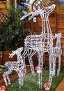 FESTILIGHT – Reindeer – Renne Lumineux 3D – Décoration de Noël pour intérieur/extérieur – Hauteur 1,80 m – 360 Ampoules LED Blanches 9W – Fonctionnement à très Basse Tension de sécurité (31 V)