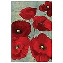 Toland Home Garden 119872 Gartenflagge, Mohnblumen, 31,8 x 45,7 cm, Rot