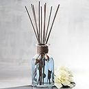 Sea Air Reed Diffuser by Pier 1 Imports