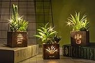 BEGONDIS Set of 3 Artificial Succulents with Led Lights in Wooden Box, Artificial Plants Plastic Fake Topiary for Home/Office Decorations, Table Centerpiece, Valentine's Day